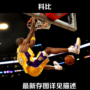 杰克逊维尔大学Mediadiploma